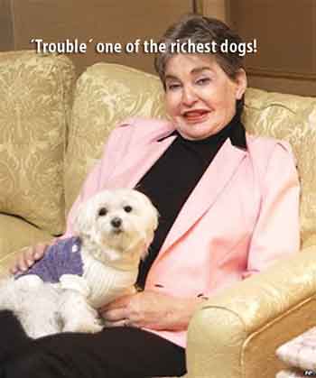 trouble richest dog